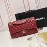 Chanel Classic Flap Bag 25 for Women