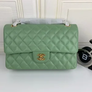 Chanel Classic Double Flap 25 Bag Emerald Green