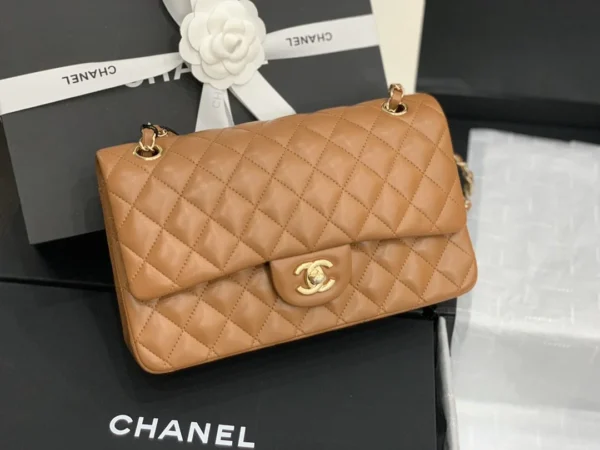 Chanel Classic Double Flap 25 Brown Bag