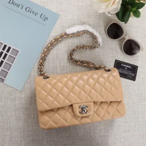 Chanel Classic Double Flap 25 Beige Bag